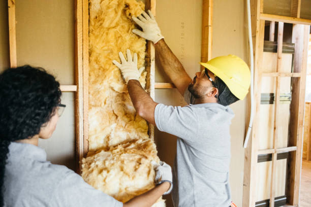 Best Attic Insulation Installation  in Harper, KS